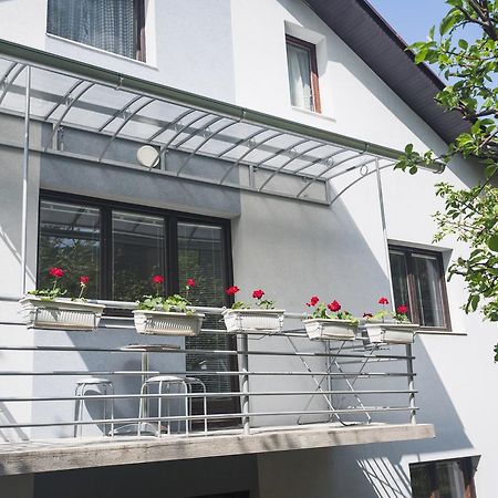 Guest House Sokodream Sokobanja Zewnętrze zdjęcie