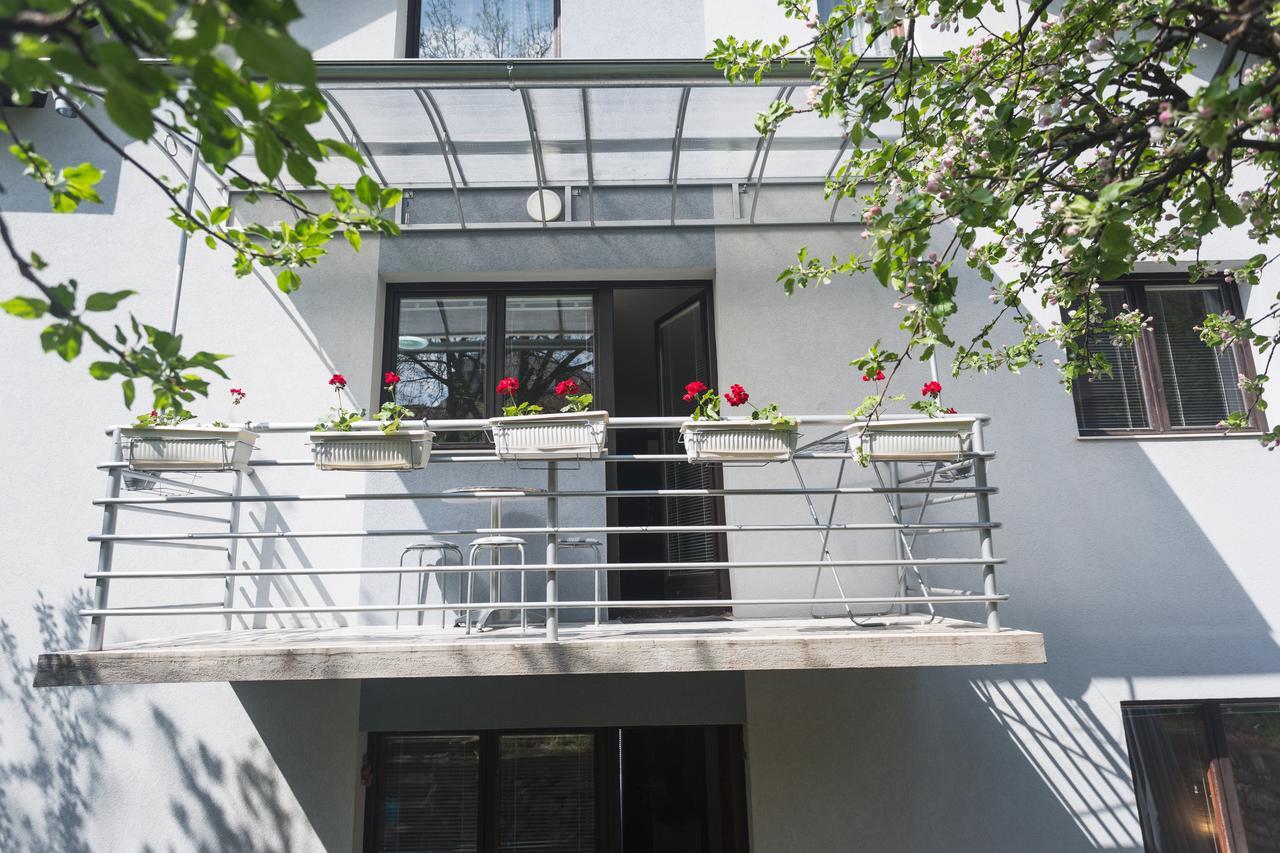 Guest House Sokodream Sokobanja Zewnętrze zdjęcie
